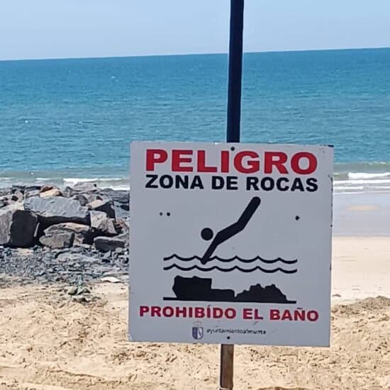 Miniatura de la imagen